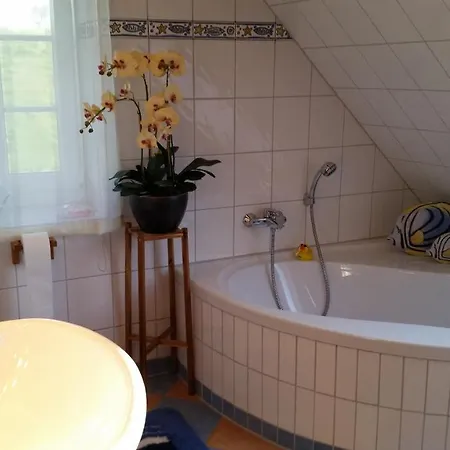 Apartment Henkel